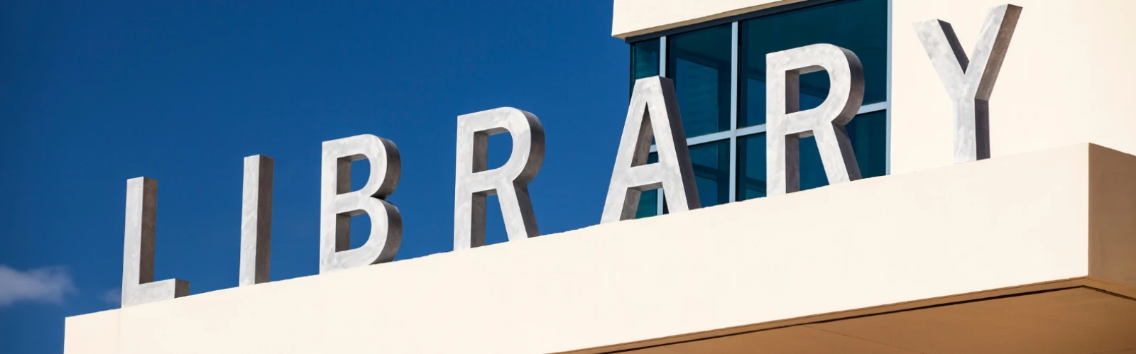 A Day at Vestal Public Library: History & Community