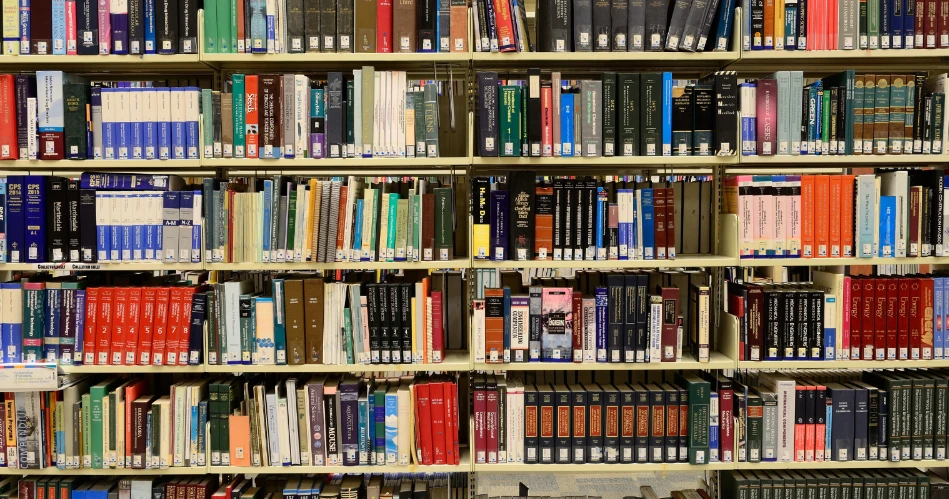 A Day at Vestal Public Library: History & Community