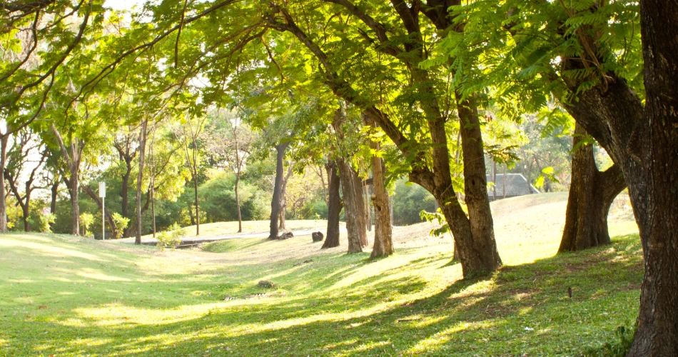 The Cultural Significance of Vestal Memorial Park