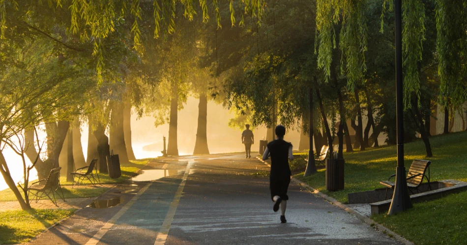 Historic Charm of the Vestal Rail Trail